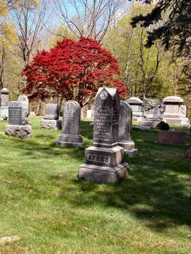 Long Ridge Union Cemetery Grounds